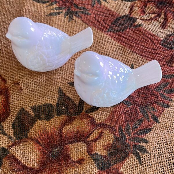 PÁSSAROS DECORATIVOS