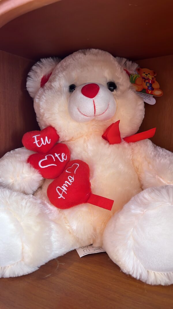 URSO MÉDIO