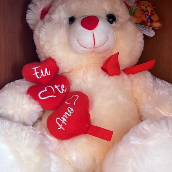 URSO MÉDIO