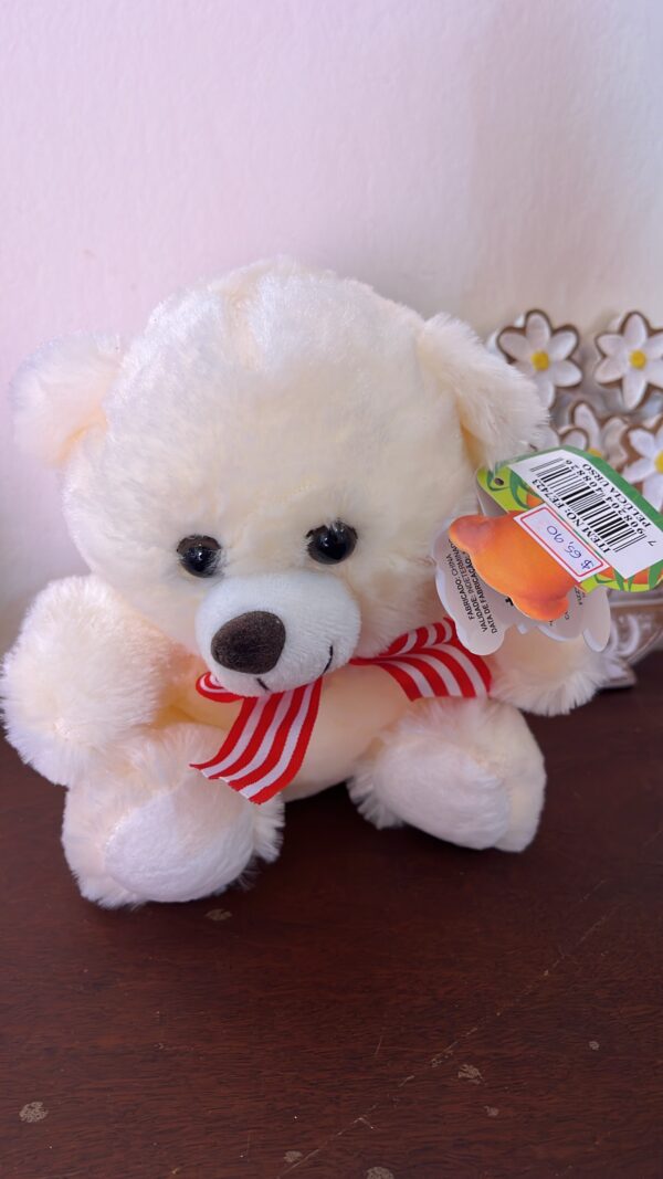 URSO - Imagem 2