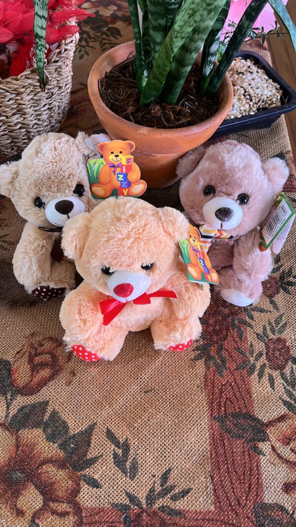 URSO - Imagem 5