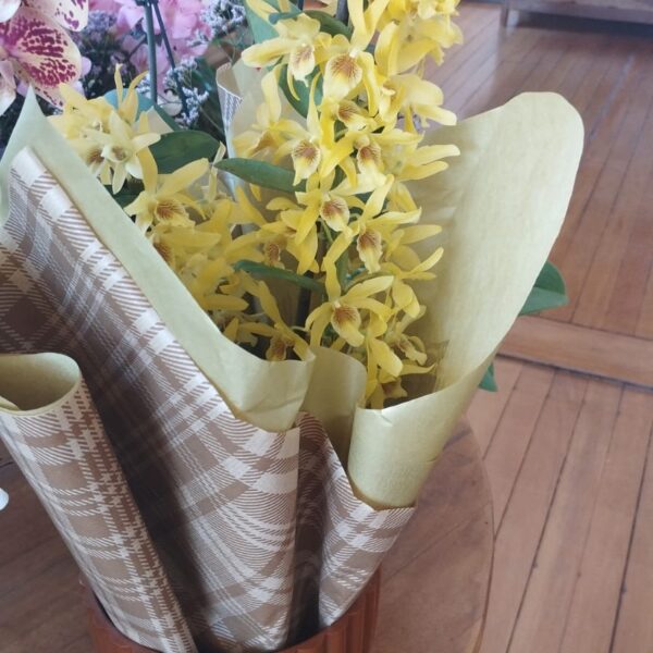 ORQUÍDEA DENDROBIUM