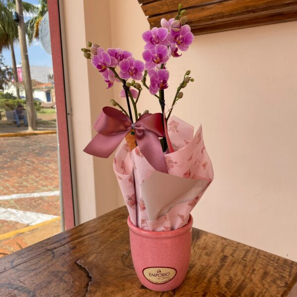 MINI ORQUÍDEA