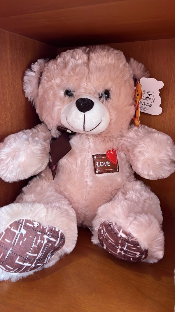 URSO MÉDIO