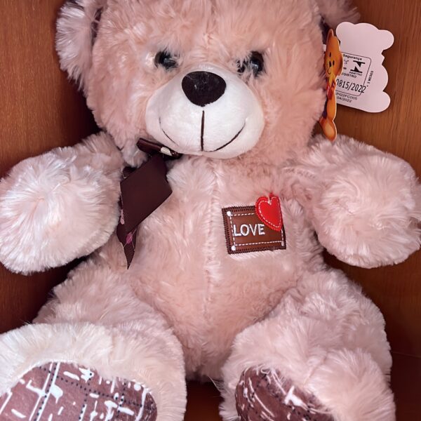 URSO MÉDIO