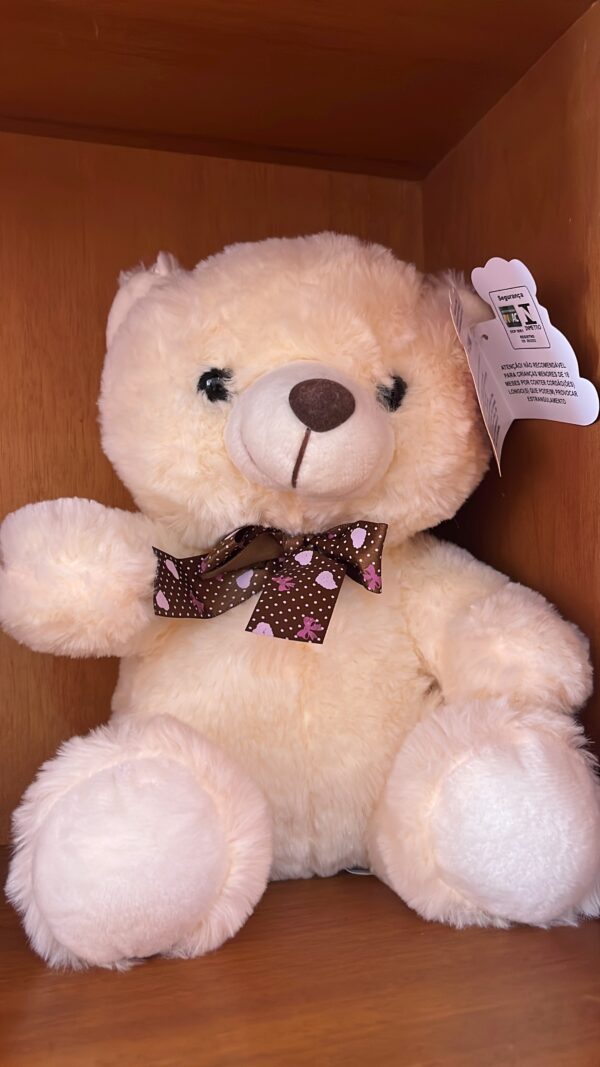URSO - Imagem 2