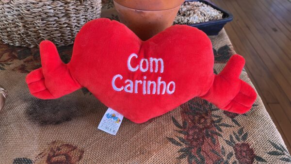 CORAÇÃO COM BRACINHOS