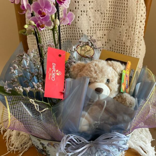 KIT DE ORQUÍDEA, CHOCOLATE E PELÚCIA