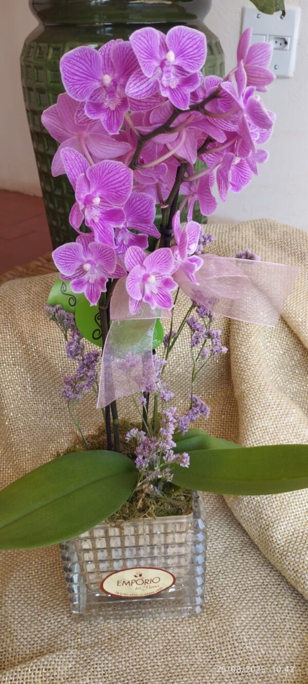 MINI ORQUÍDEA NO VASO DE VIDRO