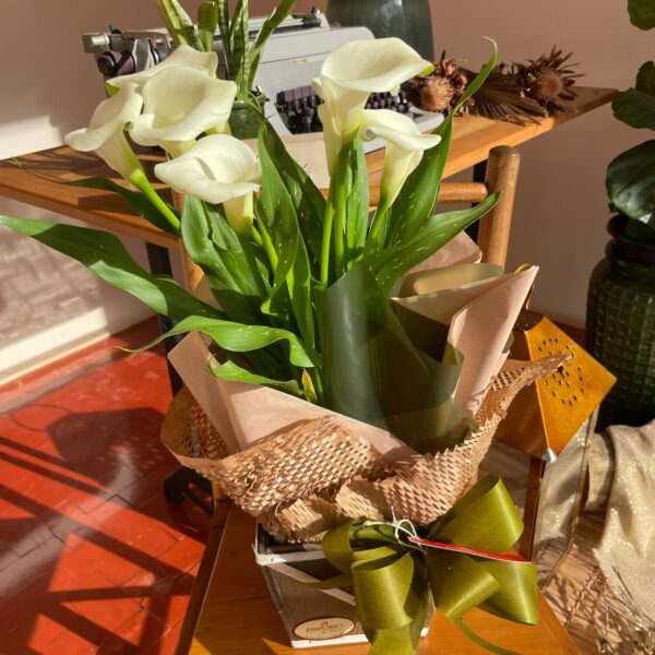 CALLA BRANCA